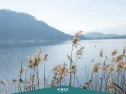 SEE Paradies Eigentumswohnung mit Seezugang und privatem...