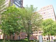 Seestern hochwertige Büroflächen zur Miete