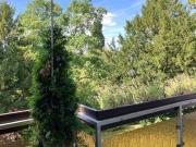 Sehr gepflegte 3 Zimmer Wohnung im Aukamm