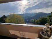 SEHR GEPFLEGTE 3 ZIMMERWOHNUNG MIT GRÜNBLICK