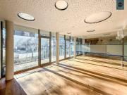 Sehr gut ausgestattetes Loft mit 2 Terrassen in der...