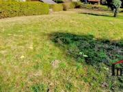 SEHR RUHIGE LAGE Grundstück in leichter Hanglage am Fuße...