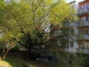 Sehr schöne 3 Zimmerwohnung. Sehr zentral aber mitten im...