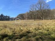 Sehr schönes Grundstück für Selbstversorger oder.