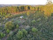 Seia Guarda 6270 134 84462206