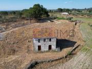 Seia Guarda 95010565