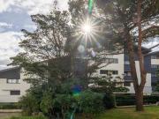 Seignosse le Penon 40 À vendre appartement T2 Bis 31m2...