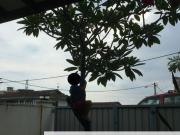 Seksyen 3, Petaling Jaya