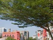 Seksyen 7