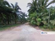 Selangor Kuala Langat Tanjong DuaBelas Jenjarom 仁嘉隆 43.8...