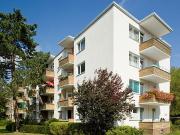 Selbstrenovierer für Singlewohnung gesucht!