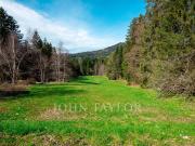 SELTEN ZU VERKAUFEN: 13'000M2 Baugrundstück