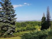 Seltene Gelegenheit: Winzerhaus auf uneinsehbarem...