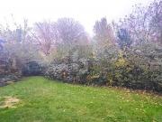 SELTENE GRÜNE OASE IN BESTLAGE