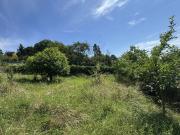 Seltenes Bauträgergrundstück mit Bestandshaus 4.356 m²,...