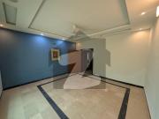 Semi Furnished House Is For Rent In F 6