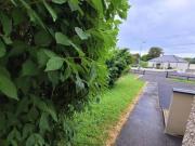 SemiDetached House for sale 8 Woodlands Avenue Dromahair...