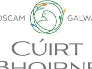 SemiDetached House for sale The Aisling Type A1 Cuirt...
