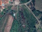 Seminativo in affitto a Teano