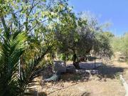 Seminativo in vendita a Belpasso