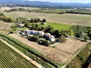 Seminativo in vendita a Bibbona