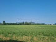 Seminativo in vendita a Noventa Vicentina