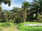 Senai