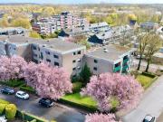 Senden, 2 MFH´s: gepflegte & renditestarke Kapitalanlage