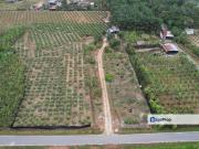 Sepang Agriculture Land near Airport KLIA w Road