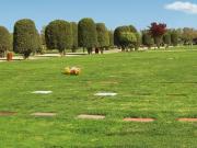 VENTA SEPULTURA FAMILIAR PARQUE DEL SENDERO MAIPU VENTA SEPULTURA FAMILIAR PARQUE DEL SENDERO MAIPU