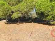 Sérignan 34410 Achat / Vente terrain