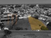 Serpa Serpa 92831507