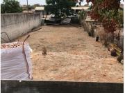 Serpa Serpa 99013916