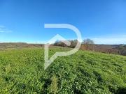 Serres Sainte Marie 64170 Achat / Vente terrain au...