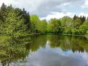 Servance Miellin 70440 Achat / Vente terrain