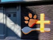 Serviced Studio Apartment for rent in the City Centre, D2