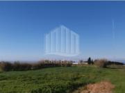 Sesimbra Sesimbra 100143029