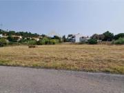 Sesimbra Sesimbra 84812498