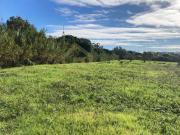 Sesimbra Sesimbra 88541399