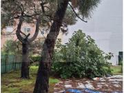 Sesimbra Sesimbra 96235021