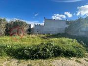 Setúbal Setúbal 100127291