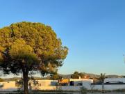 Setúbal Setúbal 97123479