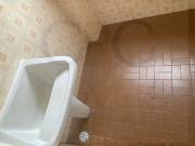 Seu novo lar na Rua Maria José, 123! Conforto e...