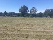 Sévérac 44530 Programme neuf terrain neuf à vendre