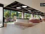 seville, Andalusia 41013