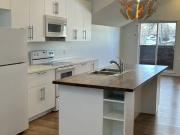 SF225 1 MONTH FREE + $100 OFF MONTHLY RENT Main Floor Suite