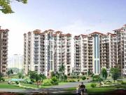 Sg Homes 3 Bedroom 730 Sq. Ft. Apartment in Vasundhara...