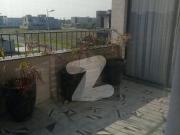 Shadman 2 Kanal House For Rent Shadman 1