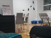 Shah Has an Apartment