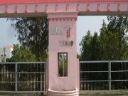 Shankarpally 3 BHK Villa For Sale Hyderabad